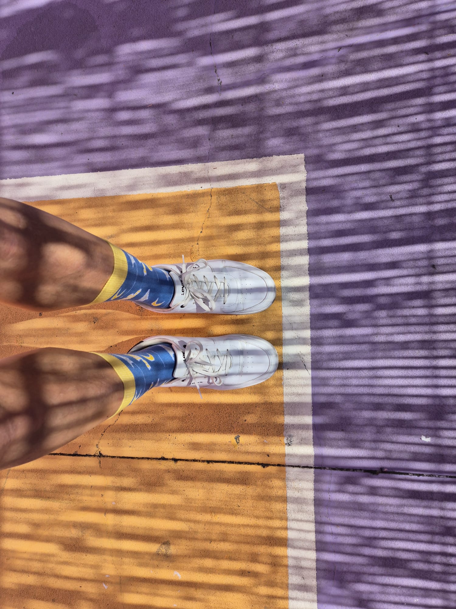 MEIAS PAPER AIRPLANE